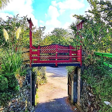 Palm Cottage Redruth Exteriör bild